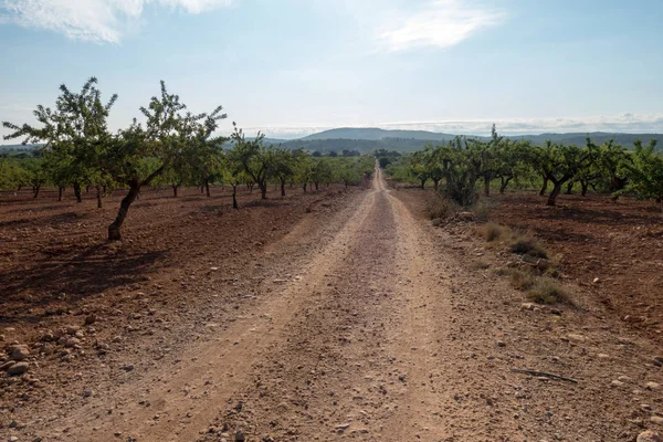 Yol via augusta altında mavi gökyüzü, castellon, İspanya