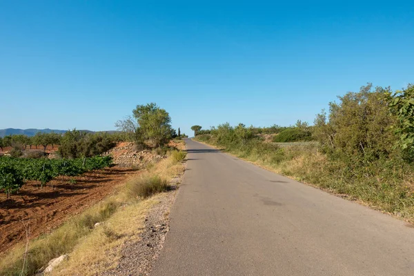 Yol via augusta altında mavi gökyüzü, castellon, İspanya