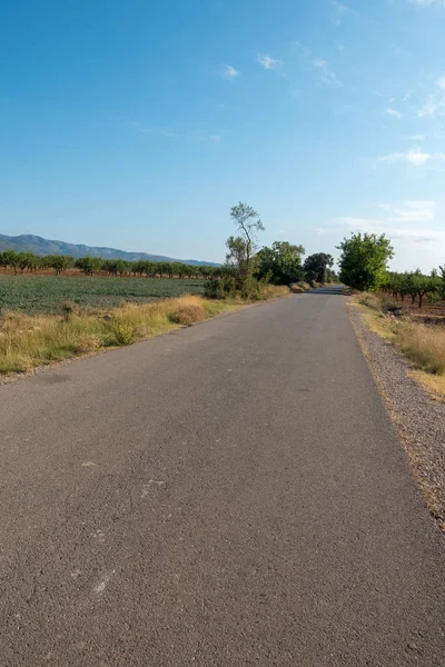 Yol via augusta altında mavi gökyüzü, castellon, İspanya