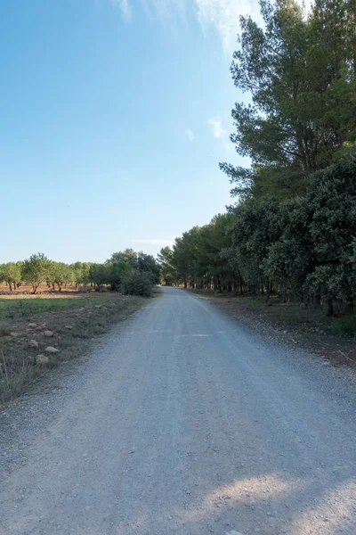 Yol via augusta altında mavi gökyüzü, castellon, İspanya