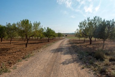 Yol via augusta altında mavi gökyüzü, castellon, İspanya