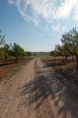 Yol via augusta altında mavi gökyüzü, castellon, İspanya