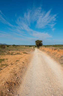 Yol via augusta altında mavi gökyüzü, castellon, İspanya