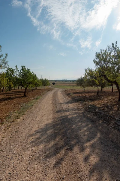 Yol via augusta altında mavi gökyüzü, castellon, İspanya