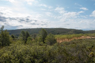 Yol via augusta altında mavi gökyüzü, castellon, İspanya