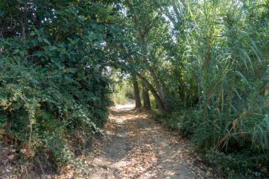 Yol via augusta altında mavi gökyüzü, castellon, İspanya