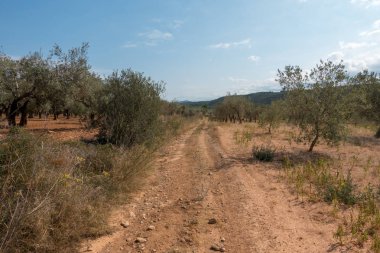 Yol via augusta altında mavi gökyüzü, castellon, İspanya