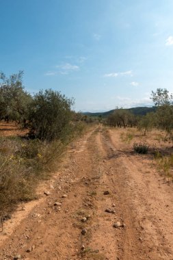 Yol via augusta altında mavi gökyüzü, castellon, İspanya