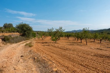 Yol via augusta altında mavi gökyüzü, castellon, İspanya