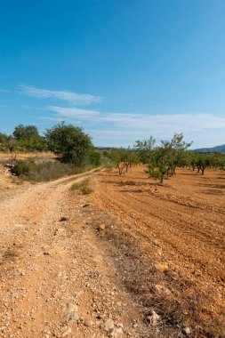 Yol via augusta altında mavi gökyüzü, castellon, İspanya