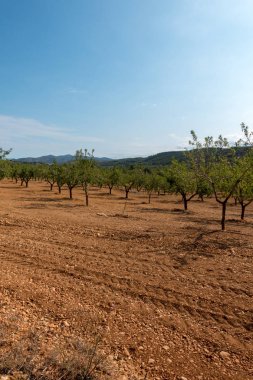 Yol via augusta altında mavi gökyüzü, castellon, İspanya