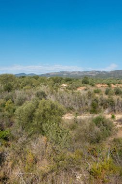 Yol via augusta altında mavi gökyüzü, castellon, İspanya