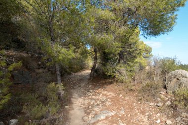 Las Palmas çöl park Castellon, İspanya