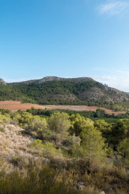 Las Palmas çöl park Castellon, İspanya