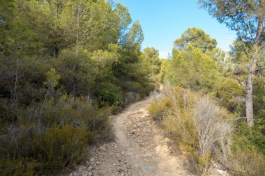 Las Palmas çöl park Castellon, İspanya