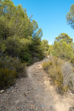 Las Palmas çöl park Castellon, İspanya