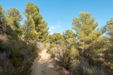Las Palmas çöl park Castellon, İspanya