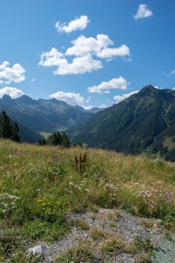 Aran Valley, Pyrenees, İspanya Bonaigua dağlarında