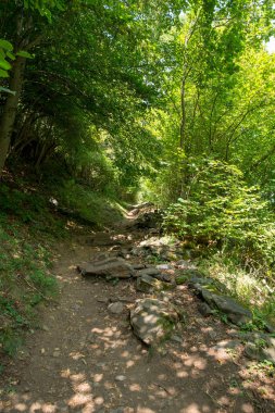 Aran, İspanya Vadisi dağ yoluyla yol