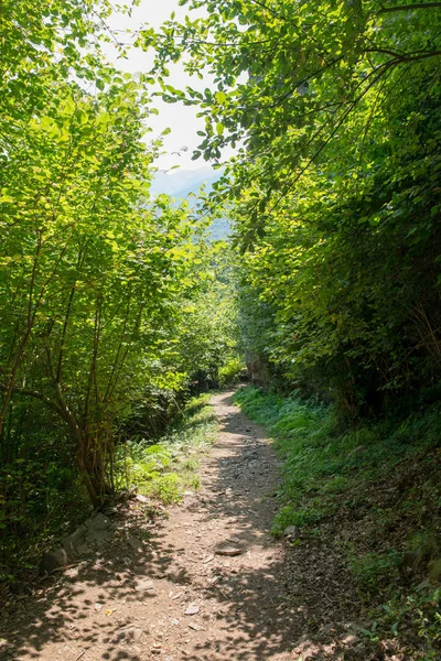 Weg Door Berg Vallei Aran Spanje — Stockfoto