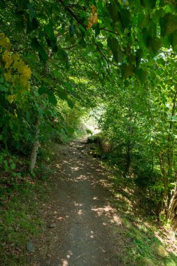 Aran, İspanya Vadisi dağ yoluyla yol