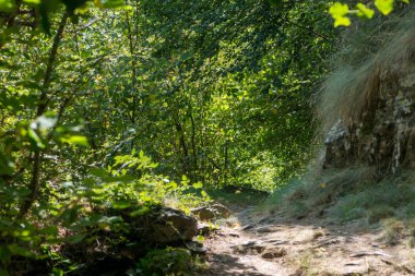 Aran, İspanya Vadisi dağ yoluyla yol