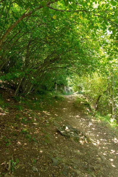 Strada Attraverso Montagna Nella Valle Aran Spagna — Foto Stock