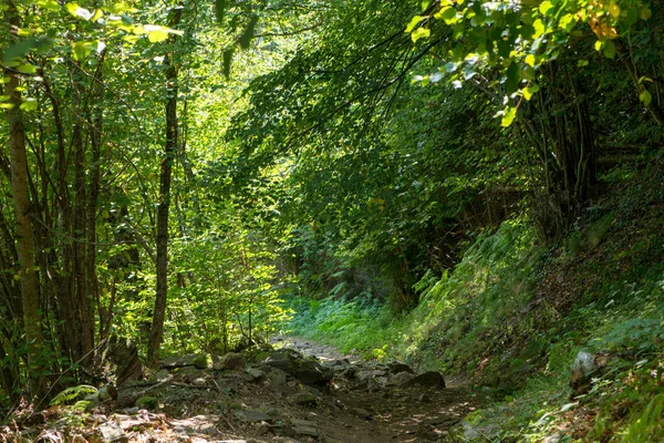 Weg Door Berg Vallei Aran Spanje — Stockfoto