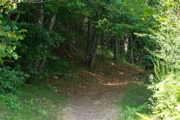 Strada Attraverso Montagna Nella Valle Aran Spagna — Foto Stock