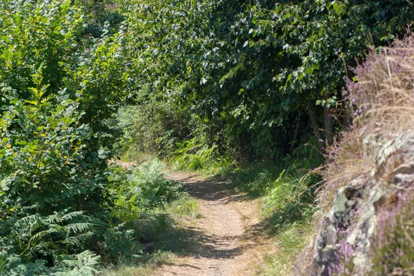 Strada Attraverso Montagna Nella Valle Aran Spagna — Foto Stock