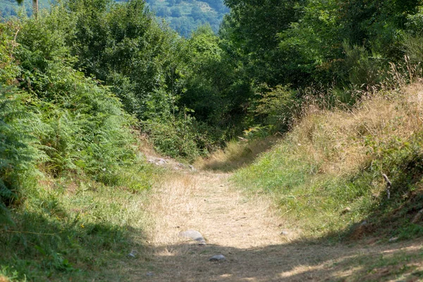 Route Travers Montagne Dans Vallée Aran Espagne — Photo