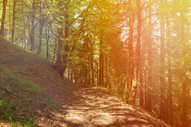 Bir şekilde Santiago pirneos tarafından valcarlos, İspanya
