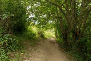 Lleida, İspanya aran Vadisi Dağları arasında