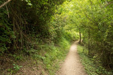Lleida, İspanya aran Vadisi Dağları arasında