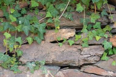 Taş bir evde grafik kaynak için bir arka plan