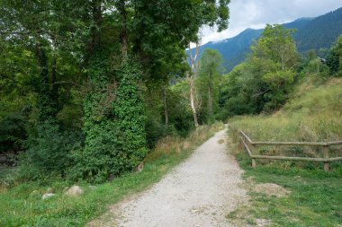 Vielha aran vadisinde yolda