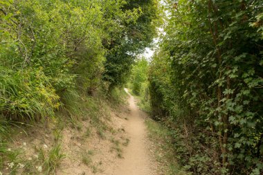 Vielha aran vadisinde yolda