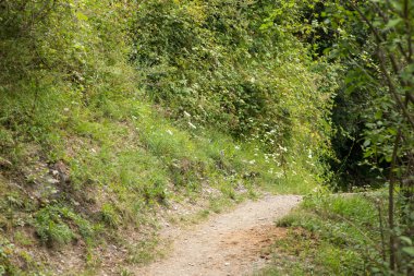 Lleida, İspanya Pyrenees Aran vadisi