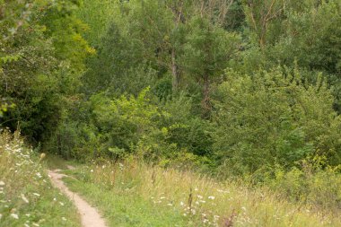Lleida, İspanya Pyrenees Aran vadisi