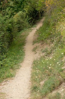 Lleida, İspanya Pyrenees Aran vadisi