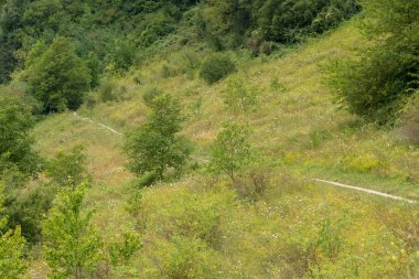 Lleida, İspanya Pyrenees Aran vadisi