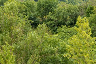 Lleida, İspanya Pyrenees Aran vadisi