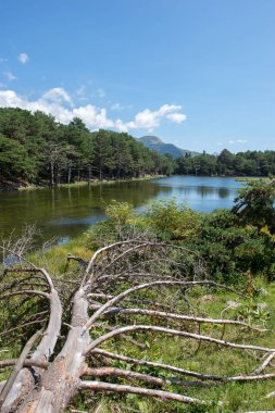 Oles Aran Valley, İspanya bassa Gölü