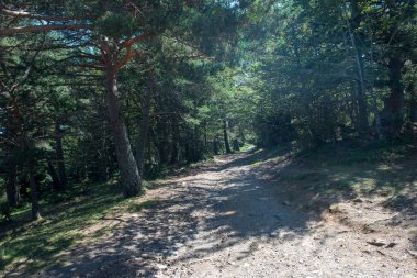 Aran de Lleida, İspanya Vadisi Dağları