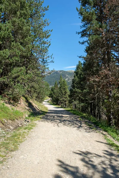 Road Montgarri Valley Aran Spain — Stock Photo, Image