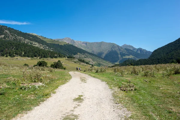 Дорога Montgarri Долині Аран Іспанія — стокове фото