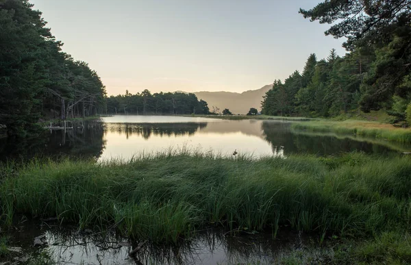 stock image Sunrise in the bassa de oles in the Valley of aran, Spain