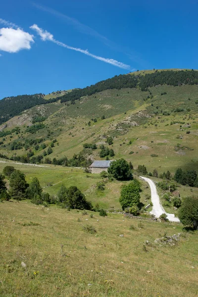 Річка Дорозі Montgarri Долині Аран Іспанія — стокове фото