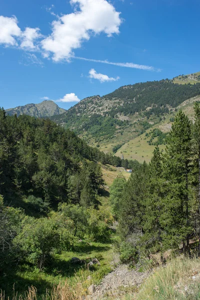 Fluss Auf Dem Weg Nach Montgarri Aus Dem Tal Von — Stockfoto