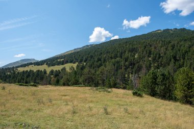 Aran vadisi, İspanya ile Pyrenees dağlarda